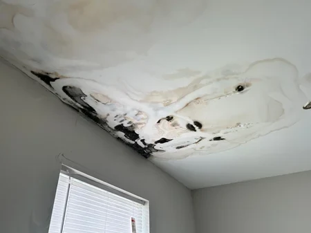 Water-damaged ceiling with broad stains, peeling areas and dark discoloration near a window.