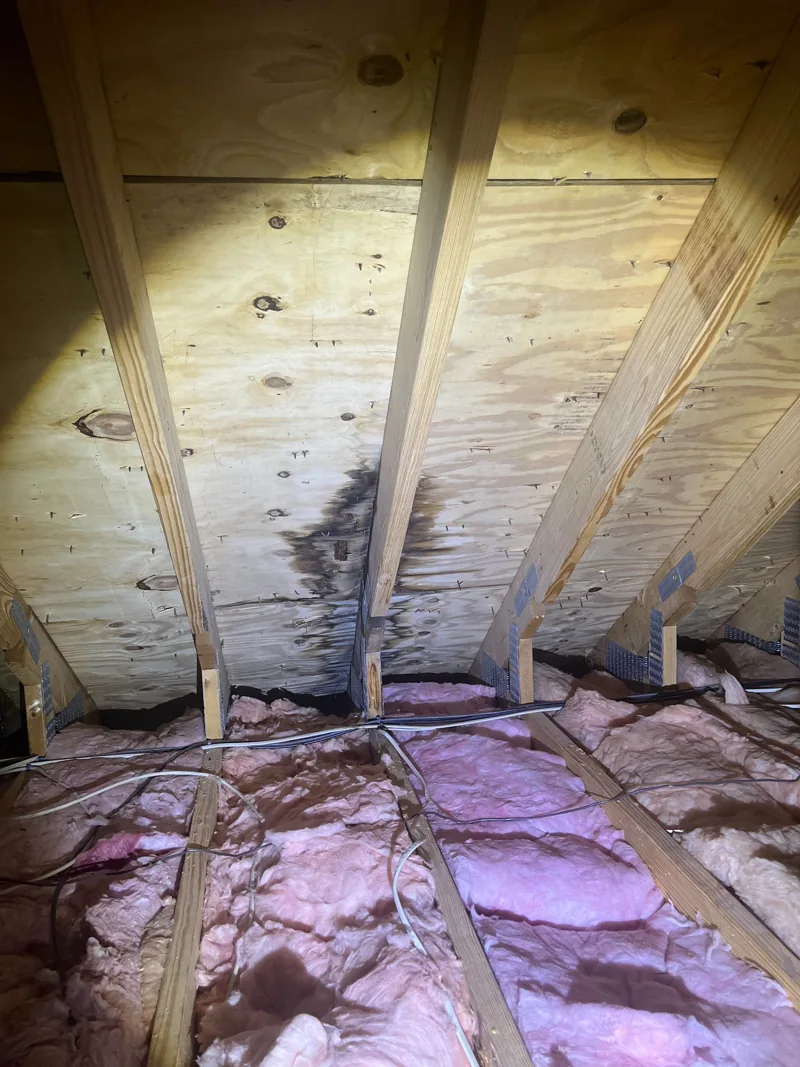 Water-stained plywood along an attic rafter above pink insulation.